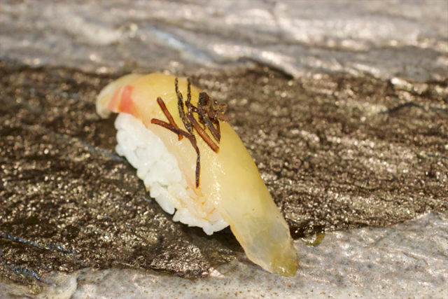snapper with roasted rice seaweed