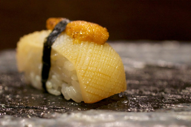 Aori Ika (Japanese big fin reef squid) with seared Uni 